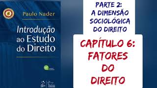 6 FATORES DO DIREITO  Introdução ao Estudo do Direito Paulo Nader 2021 Audiolivro [upl. by Etselec]