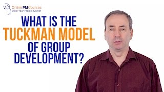 What is the Tuckman Model of Group Development PM in Under 5 [upl. by Aniela703]