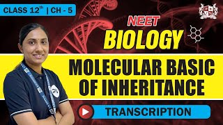 Transcription  CH 5 Molecular Basis Of Inheritance  For Class 12 Biology [upl. by Ettenajna]