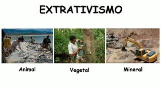 Extrativismo animal [upl. by Enenstein]