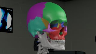 Chapter 1 Basic Sinus Anatomy [upl. by Riccardo]