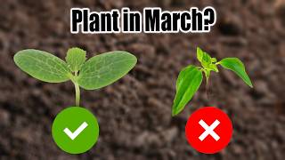 10 Vegetables to Plant in March [upl. by Talanta]