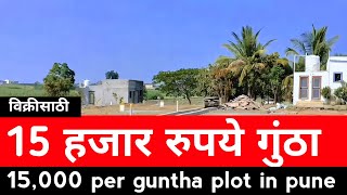 विक्रीसाठी 15 हजार रुपये गुंठा  15000 per guntha plot in pune  1 guntha NA plot in Pune [upl. by Georgeta]