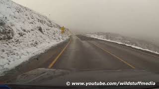 Harrietville to Dinner Plain via Hotham in 2 Minutes 30x Time Lapse [upl. by Nitnerb872]