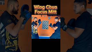 WING CHUN FOCUS MITT tranding wingtsun wingchun kungfu artemarcial artesmarciaismistas mma [upl. by Llenyr340]