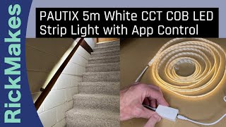 PAUTIX 5m White CCT COB LED Strip Light with App Control [upl. by Shenan641]