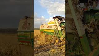 harvester agriculture agriculturefarming driving farmer subscribe shortvideo [upl. by Atilrahc]