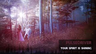 Pulsedriver  Your Spirit Is Shining Classic Trance [upl. by Herodias]