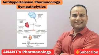 Sympathoplegics Antihypertensive mechanism [upl. by Itnavart]