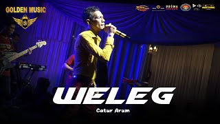 WELEG  Catur Arum Golden Music Live in Pakis Banyuwangi [upl. by Aztiraj]