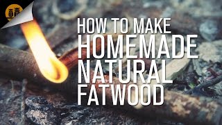 How To Make Homemade Natural Fatwood [upl. by Yrffoeg]