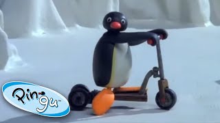 Pingu and the New Scooter Pingu Official 1 Hour Cartoons for Kids [upl. by Retswerb776]