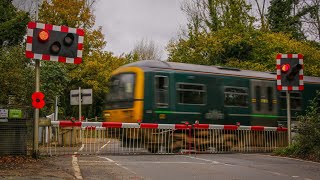 Betchworth Level Crossing Surrey 291024 [upl. by Lucius]