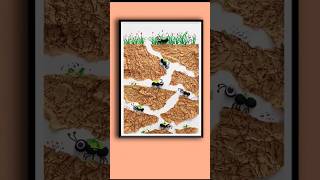 ant theme painting craft diy [upl. by Alithea]