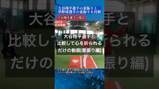 【衝撃音】大谷翔平選手と草野球選手の素振りの音を比べたら異次元さが際立った件大谷翔平 [upl. by Leesen]