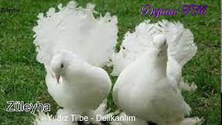 Dejavu🕊 FM • Canlı İstek Yayını  Online Radyo Dinle [upl. by Lennie]