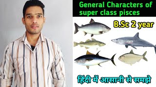 General characters of superclass pisces  BSc 3rd Year Zoology 5th Semester 2nd paper [upl. by Burget]