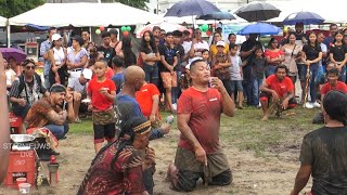 Jawa Festa op Plein [upl. by Gian]