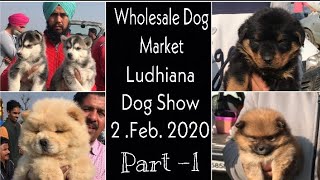 Wholesale Dog Market Ludhiana Dog Show 2nd Feb 2020 Part 1 [upl. by Uzial]