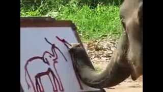 An elephant paints a selfportrait with his trunk [upl. by Ruggiero]