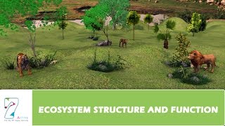 ECOSYSTEM STRUCTURE AND FUNCTION  PART 01 [upl. by Box]