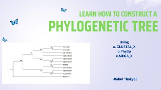 Construction of a Phylogenetic Tree  BSc Zoology  Evolutionary Biology [upl. by Ashla]