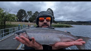 I CAUGHT my BIGGEST Fish in Lake Wallace [upl. by Radloff]