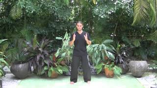 Microcosmic Orbit  Qigong Exercise [upl. by Alim]