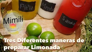 Tres diferentes maneras de preparar Limonadas  Menta Sandia y Piña  Novateando en la Cocina [upl. by Nosam108]