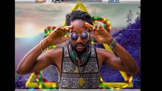 Well Done  Kabaka Pyramid lyrics  Sub PATOIS  ENGLISH by sarazufre [upl. by Jed]