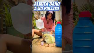 ALMITA baño a su pollito [upl. by Constancy268]