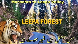 This forest has many wild animals  Azad Kashmir  Mansehra to leepa Valley  The 70cc Wanderer [upl. by Rustie]