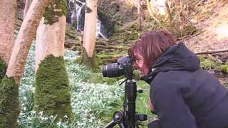 photographing waterfalls amp snowdropswmv [upl. by Wilkey]