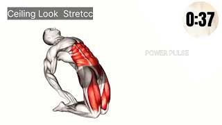 Strengthen Exercises For Pelvic Floor  Kegel Exercises For Men  followformore physiocare [upl. by Marcel]