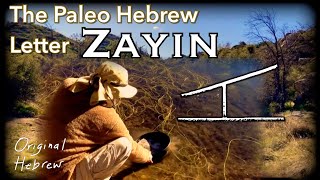 7 Zayin  Paleo Hebrew Alphabet  Father’s Refining Fire Gold Digging and more [upl. by Haskel]