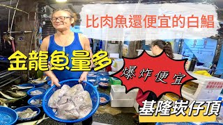 基隆崁仔頂～比肉魚便宜的白鯧出現～金龍魚量多便宜到爆炸～石斑、白鯧、紅鮢過、金龍魚、鬼頭刀、點甘、竹午、冬鏡、甘仔魚～元源魚行拍賣（113106 [upl. by Breed]