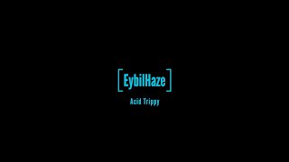 Eybilhaze  Acid Trippy Animation Video [upl. by Qifar]