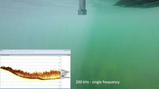 CEE HydroSystems CEESCOPE™ GoPro Ground Truthing Sub Aquatic Vegetation Hydrographic Survey [upl. by Luahs]