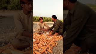 Jutiyan chor funny videoyoutubeshortviralshort [upl. by Eem]