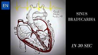 Sinus Bradycardia Animation and ECG Shorts [upl. by Tareyn335]