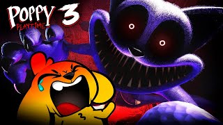 CATNAP el JUGUETE ASESINO 😱🧸 POPPY PLATIME CHAPTER 3 COMPLETO MIKECRACK 🔴EN DIRECTO [upl. by Ned]