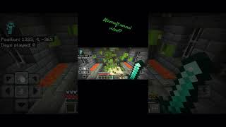 Minecraft moment [upl. by Hamehseer]