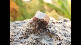 Almandine garnet mineral specimen from Ahladia in Nevrokopi in Macedonia Greece [upl. by Ellimaj65]