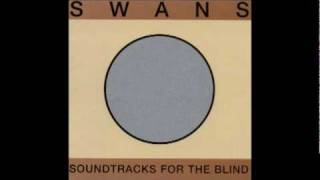 Swans  The Sound [upl. by Sido]