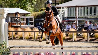 3’3 small jr hunter handy🥈Temecula horse show [upl. by Kcirdahc]