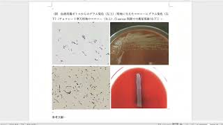 【まとめ】Granulicatella adiacens [upl. by Trebliw]