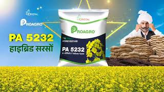 मोटा दाना ज़्यादा भाव  Crystal Proagro 5232 हाइब्रिड सरसों [upl. by Akalam753]