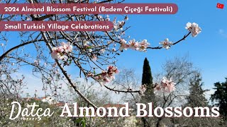 Datça Almond Blossom Festival  2024 Badem Çiçeği Festivali  Turkish Village Celebrations  OhSoPom [upl. by Washington256]