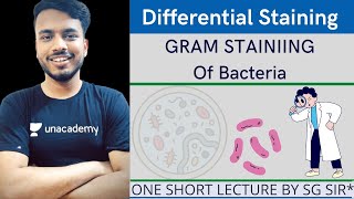 differential staining  gram staining of bacteria  gram staining procedure microbiology sgsir [upl. by Sesiom]