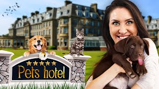 Ich teste Pets Hotel Simulator [upl. by Anhsirk449]